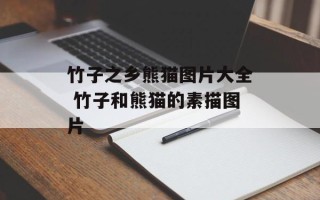 竹子之乡熊猫图片大全 竹子和熊猫的素描图片