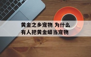 黄金之乡宠物 为什么有人把黄金蟒当宠物