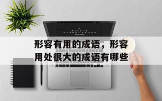 形容有用的成语，形容用处很大的成语有哪些