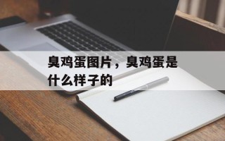 臭鸡蛋图片，臭鸡蛋是什么样子的
