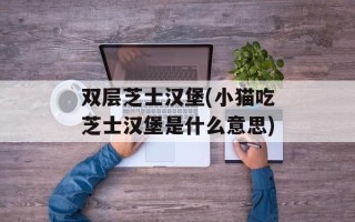 双层芝士汉堡(小猫吃芝士汉堡是什么意思)