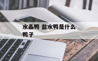 水晶鸭 盐水鸭是什么鸭子