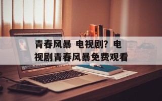 青春风暴 电视剧？电视剧青春风暴免费观看