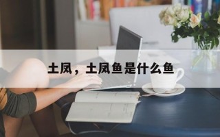 土凤，土凤鱼是什么鱼
