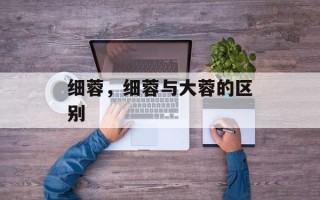 细蓉，细蓉与大蓉的区别