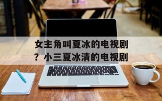女主角叫夏冰的电视剧？小三夏冰清的电视剧