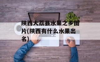 陕西大荔县水果之乡图片(陕西有什么水果出名)