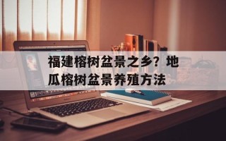 福建榕树盆景之乡？地瓜榕树盆景养殖方法