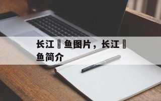 长江鮰鱼图片，长江鮰鱼简介