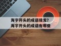 海字开头的成语接龙？海字开头的成语有哪些