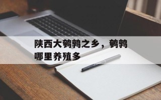 陕西大鹌鹑之乡，鹌鹑哪里养殖多