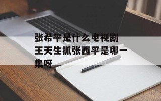 张希平是什么电视剧 王天生抓张西平是哪一集呀