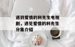 遇到爱情的利先生电视剧，遇见爱情的利先生分集介绍