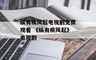 纵有疾风起电视剧免费观看 《纵有疾风起》电视剧