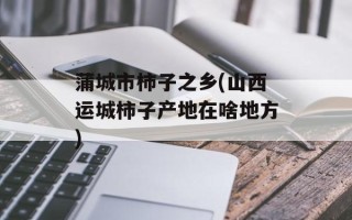 蒲城市柿子之乡(山西运城柿子产地在啥地方)