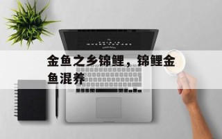 金鱼之乡锦鲤，锦鲤金鱼混养