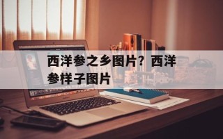 西洋参之乡图片？西洋参样子图片