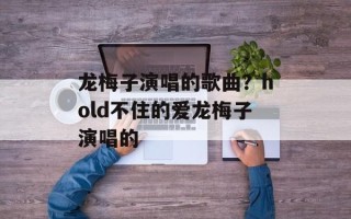 龙梅子演唱的歌曲？hold不住的爱龙梅子演唱的