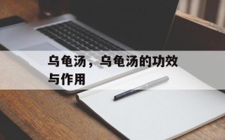 乌龟汤，乌龟汤的功效与作用