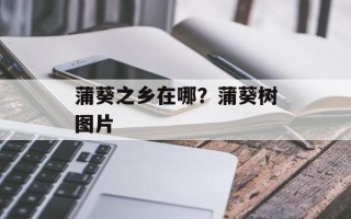 蒲葵之乡在哪？蒲葵树图片