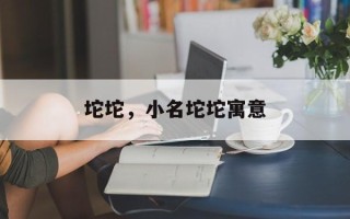 坨坨，小名坨坨寓意