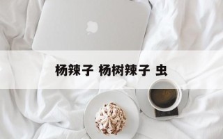 杨辣子 杨树辣子 虫