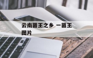 云南菌王之乡 一菌王图片