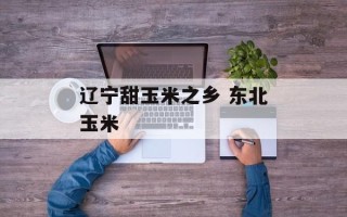 辽宁甜玉米之乡 东北玉米