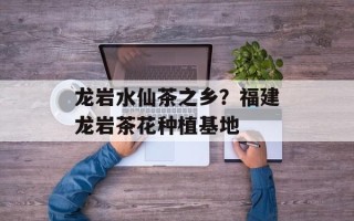 龙岩水仙茶之乡？福建龙岩茶花种植基地