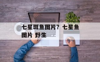 七星斑鱼图片？七星鱼图片 野生