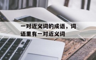 一对近义词的成语，词语里有一对近义词