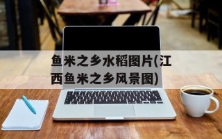 鱼米之乡水稻图片(江西鱼米之乡风景图)