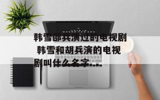 韩雪邵兵演过的电视剧 韩雪和胡兵演的电视剧叫什么名字
