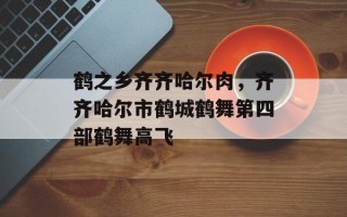 鹤之乡齐齐哈尔肉，齐齐哈尔市鹤城鹤舞第四部鹤舞高飞