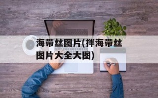 海带丝图片(拌海带丝图片大全大图)