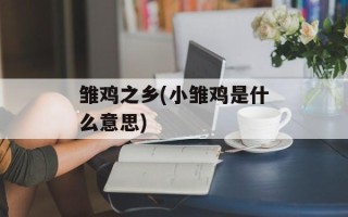 雏鸡之乡(小雏鸡是什么意思)