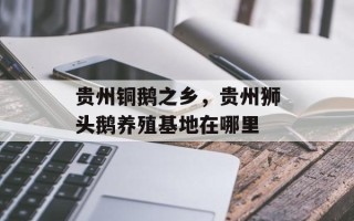 贵州铜鹅之乡，贵州狮头鹅养殖基地在哪里