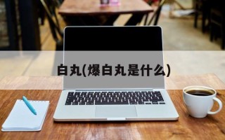 白丸(爆白丸是什么)