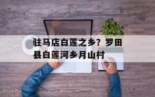 驻马店白莲之乡？罗田县白莲河乡月山村