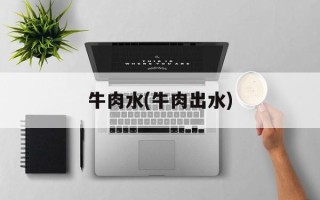 牛肉水(牛肉出水)