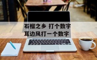 石榴之乡 打个数字 耳边风打一个数字