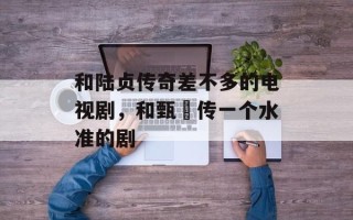 和陆贞传奇差不多的电视剧，和甄嬛传一个水准的剧