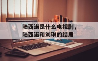 陆西诺是什么电视剧，陆西诺和刘琳的结局