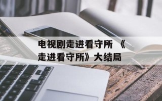电视剧走进看守所 《走进看守所》大结局