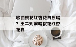 歌曲桃花红杏花白原唱？王二妮演唱桃花红杏花白
