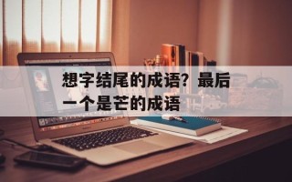 想字结尾的成语？最后一个是芒的成语