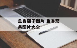 鱼香茄子图片 鱼香茄条图片大全