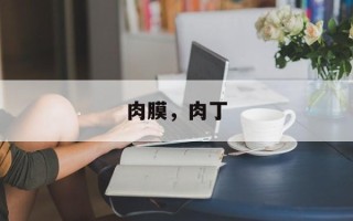 肉膜，肉丁
