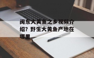 闽东大黄鱼之乡视频介绍？野生大黄鱼产地在哪里