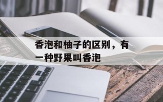 香泡和柚子的区别，有一种野果叫香泡